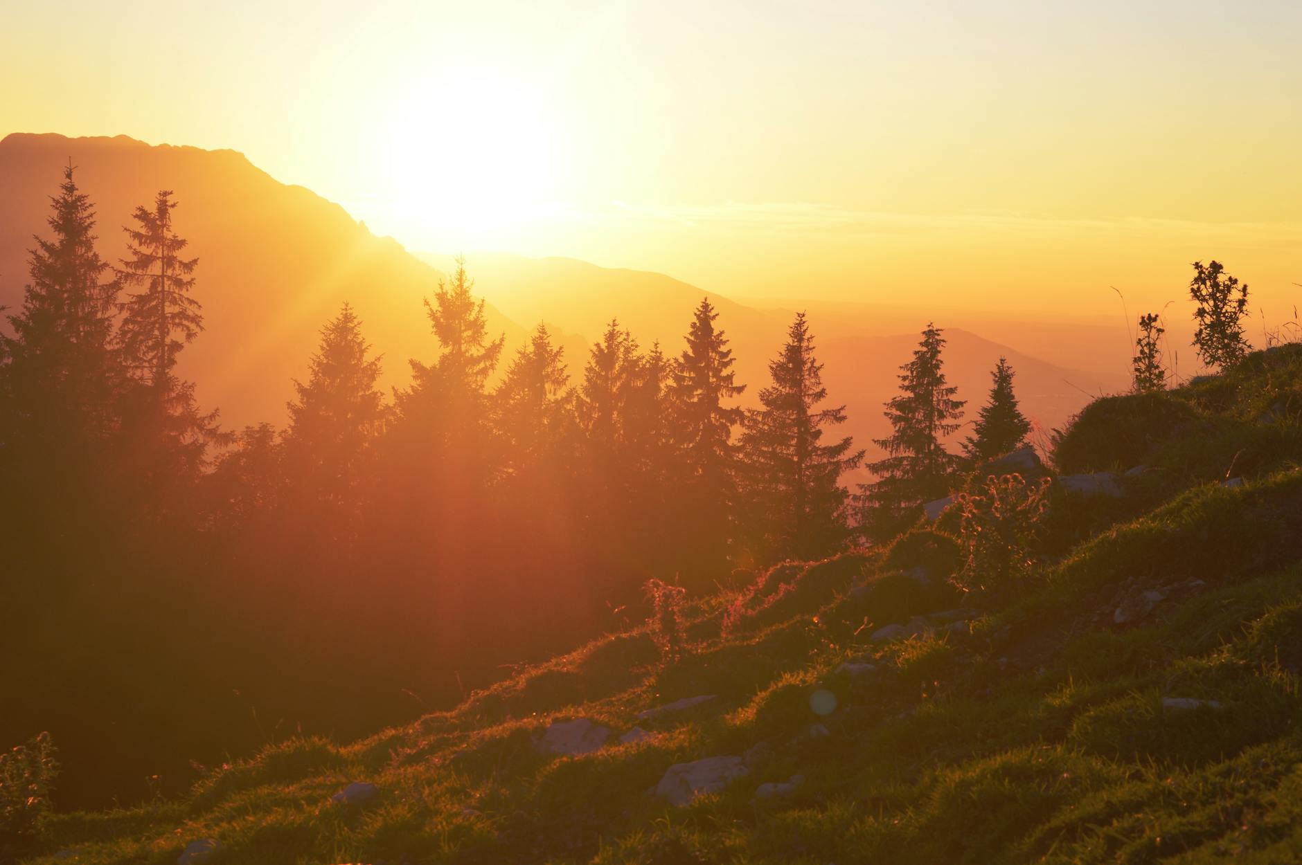 Being #VulnerablyMe… Without Being Only the Fog